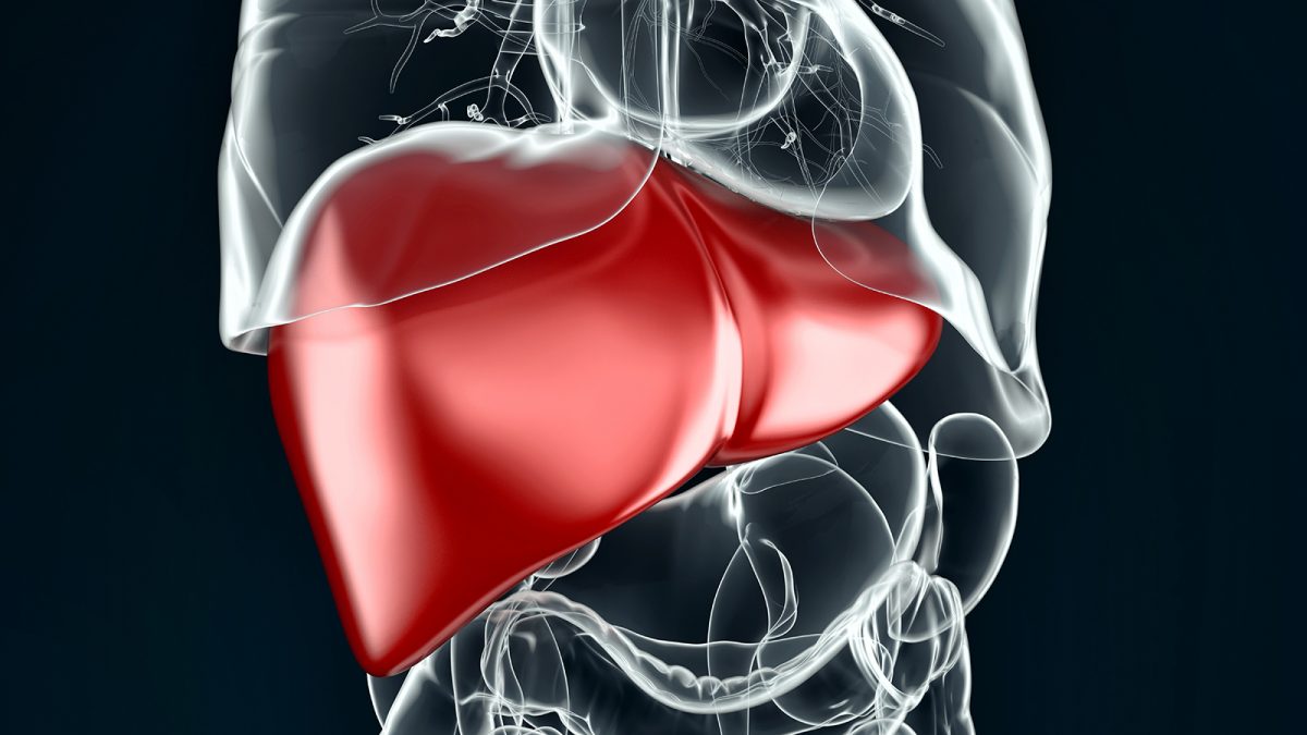 Hepatology in Primary Care