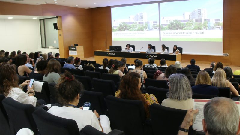 VIII Jornada Salut Mental