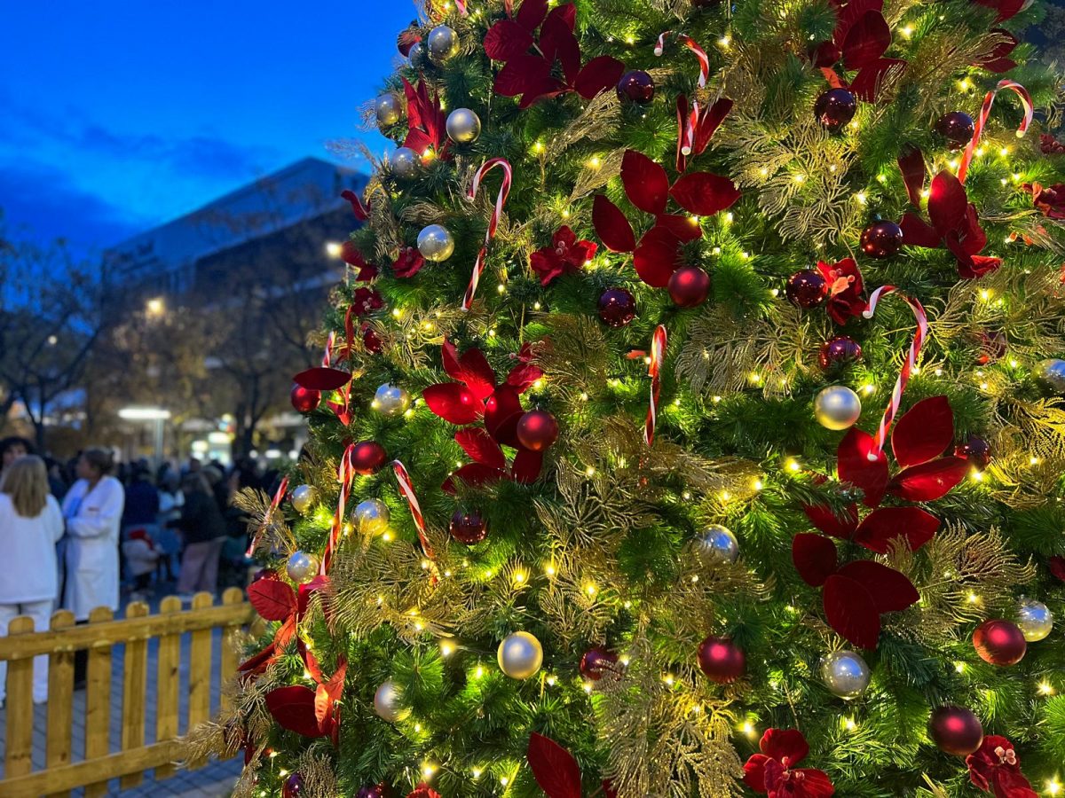 Arriba el Nadal al Parc Taulí amb la tradicional encesa de les llums de l’arbre