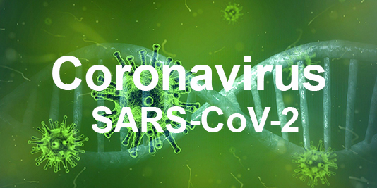 Enllaç a Coronavirus SARS-CoV-2 - Informació per als usuaris 