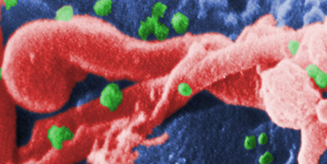 Una onada de petits somriures